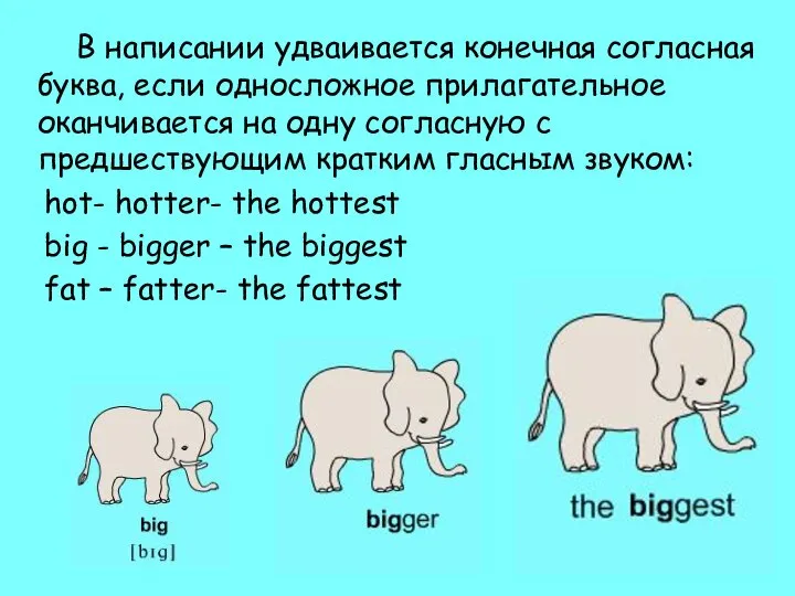 В написании удваивается конечная согласная буква, если односложное прилагательное оканчивается на