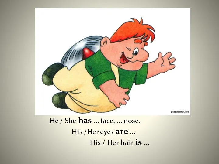 He / She has … face, … nose. His /Her eyes
