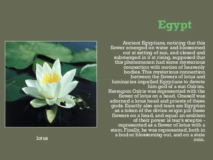 Egypt Ancient Egyptians, noticing that this flower emerged on water and