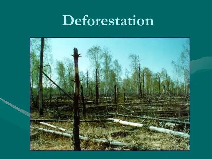 Deforestation