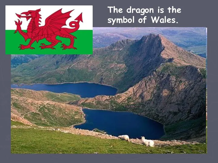 The dragon is the symbol of Wales.