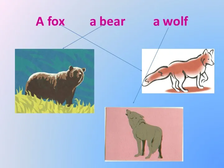 A fox a bear a wolf