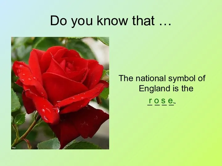 Do you know that … The national symbol of England is