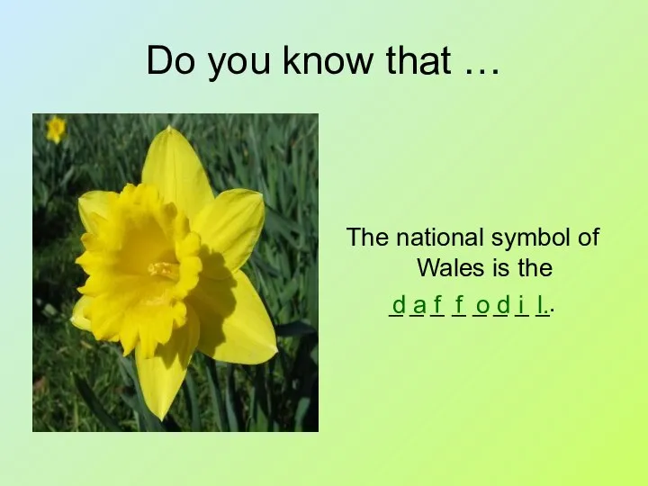 Do you know that … The national symbol of Wales is