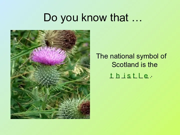 Do you know that … The national symbol of Scotland is