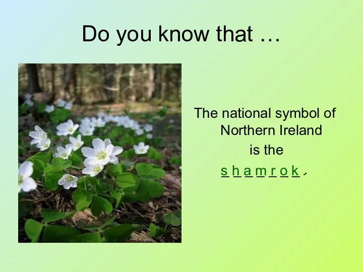 Do you know that … The national symbol of Northern Ireland