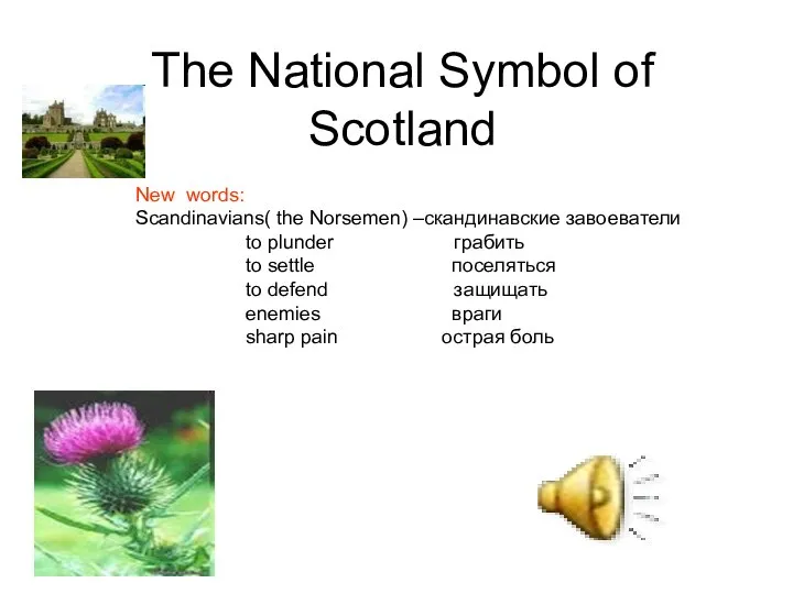 The National Symbol of Scotland New words: Scandinavians( the Norsemen) –скандинавские