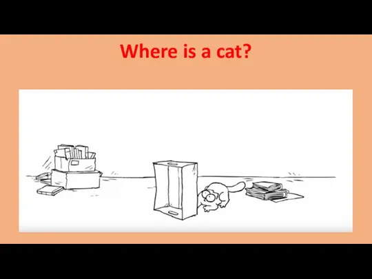 Where is a cat?