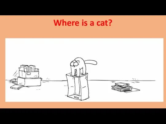 Where is a cat?