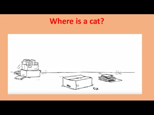 Where is a cat?