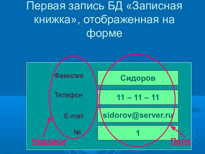 Первая запись БД «Записная книжка», отображенная на форме Фамилия Телефон E-mail