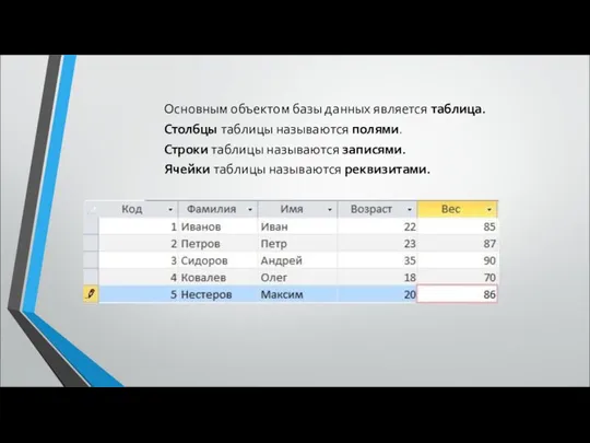 Основным объектом базы данных является таблица. Столбцы таблицы называются полями. Строки