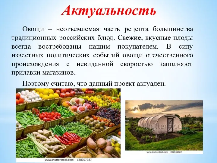 Овощи – неотъемлемая часть рецепта большинства традиционных российских блюд. Свежие, вкусные