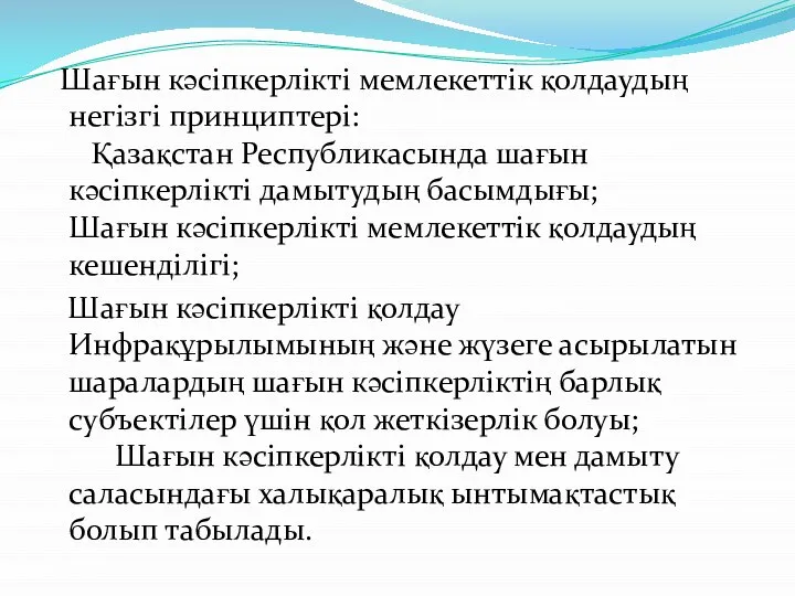 Шағын кәсiпкерлiктi мемлекеттiк қолдаудың негiзгi принциптерi: Қазақстан Республикасында шағын кәсiпкерлiктi дамытудың