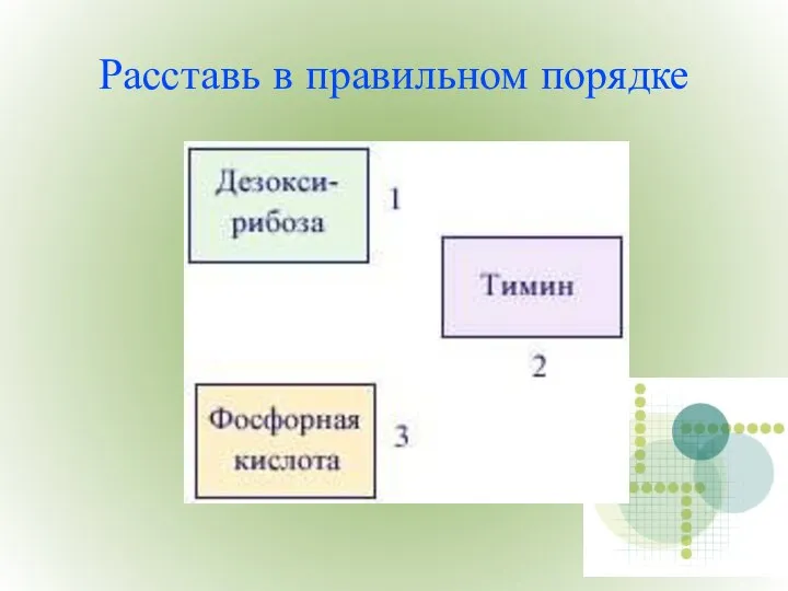 Расставь в правильном порядке