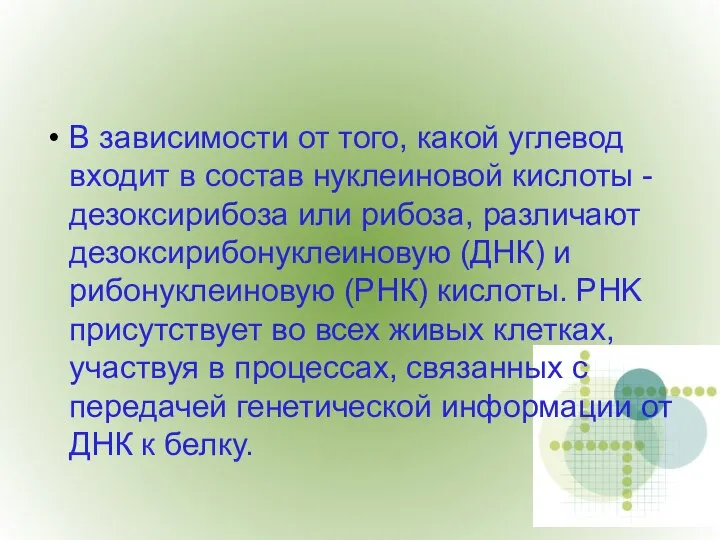 В зависимости от того, какой углевод входит в состав нуклеиновой кислоты