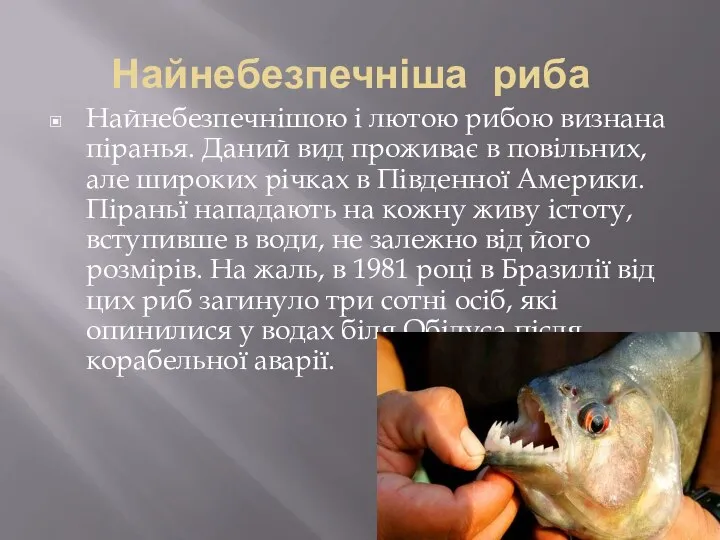 Найнебезпечніша риба Найнебезпечнішою і лютою рибою визнана піранья. Даний вид проживає