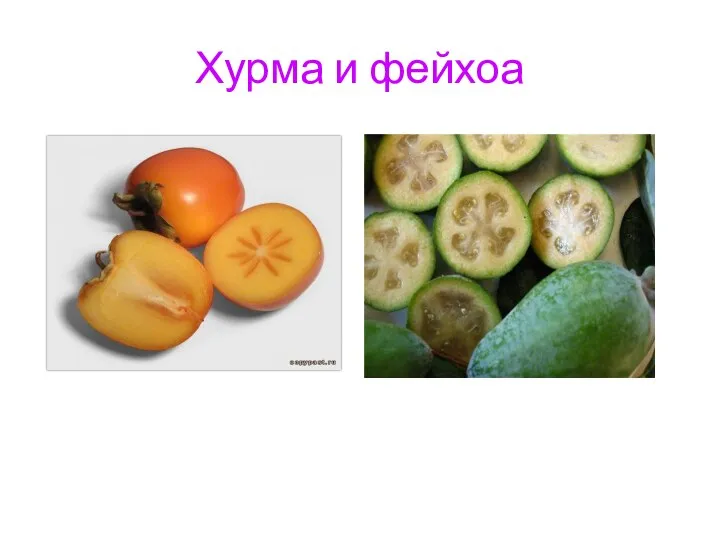 Хурма и фейхоа