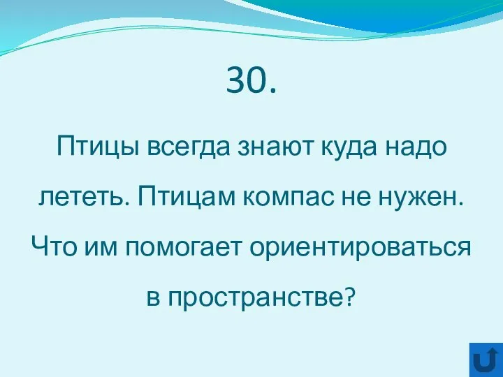 30. Птицы всегда знают куда надо лететь. Птицам компас не нужен.