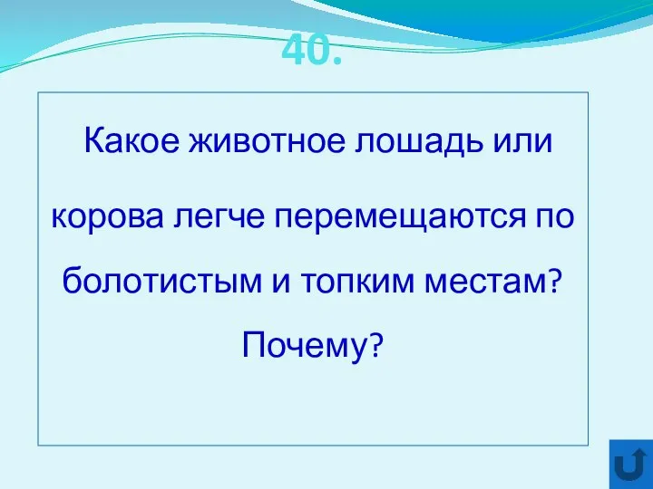 40. Какое животное лошадь или корова легче перемещаются по болотистым и топким местам? Почему?