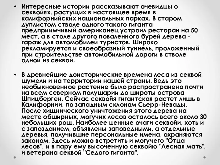 Интересные истории рассказывают очевидцы о секвойях, растущих в настоящее время в