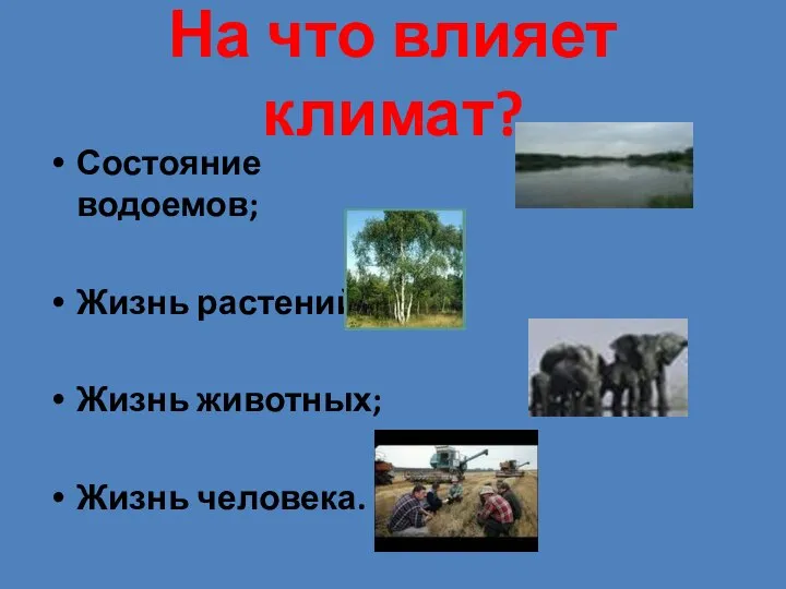 На что влияет климат? Состояние водоемов; Жизнь растений; Жизнь животных; Жизнь человека.