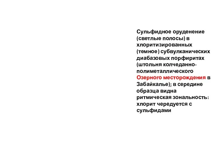 Сульфидное оруденение (светлые полосы) в хлоритизированных (темное) субвулканических диабазовых порфиритах (штольня