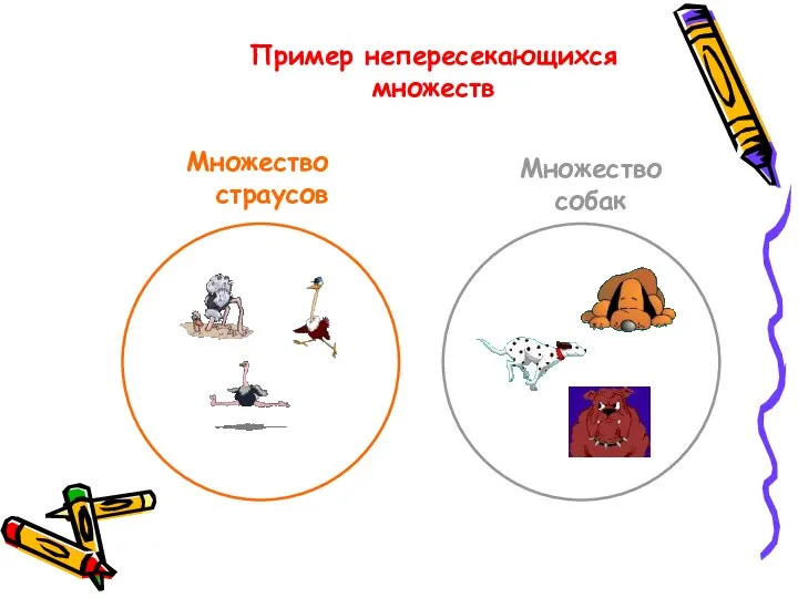 Пример непересекающихся множеств Множество страусов Множество собак