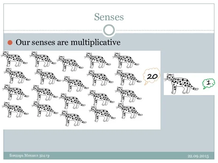 Senses 22.09.2015 Бондарь Михаил 324 гр Our senses are multiplicative