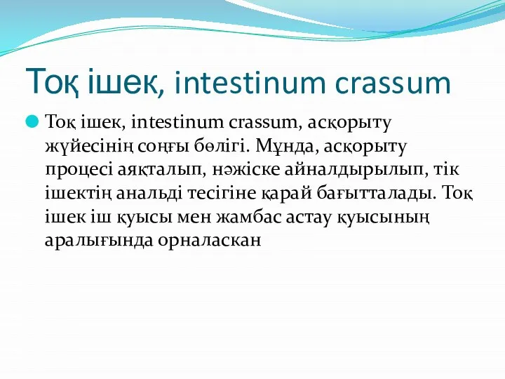 Тоқ ішек, intestinum crassum Тоқ ішек, intestinum crassum, асқорыту жүйесінің соңғы