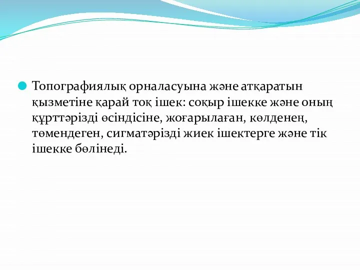 Топографиялық орналасуына және атқаратын қызметіне қарай тоқ ішек: соқыр ішекке және