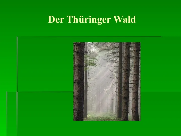 Der Thüringer Wald