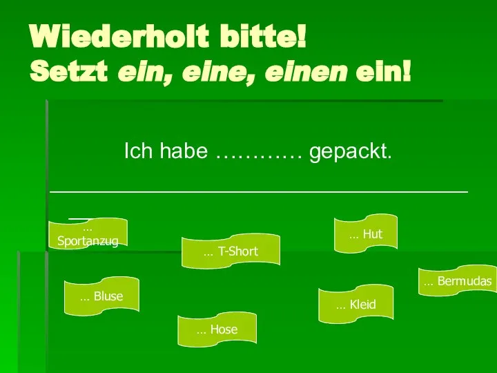 Wiederholt bitte! Setzt ein, eine, einen ein! Ich habe ………… gepackt.