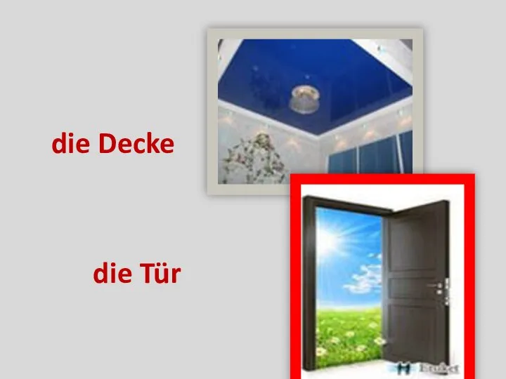 die Decke die Tür