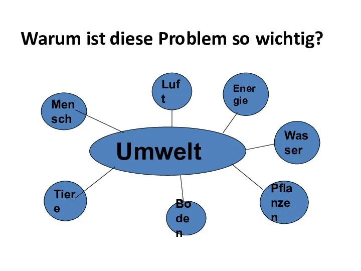 Warum ist diese Problem so wichtig? Umwelt Luft Wasser Boden Tiere Mensch Pflanzen Energie