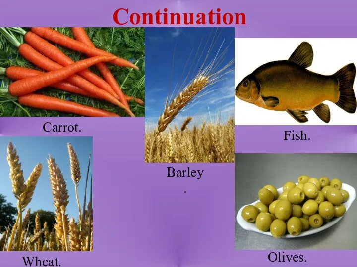 Continuation Carrot. Fish. Barley. Wheat. Olives.