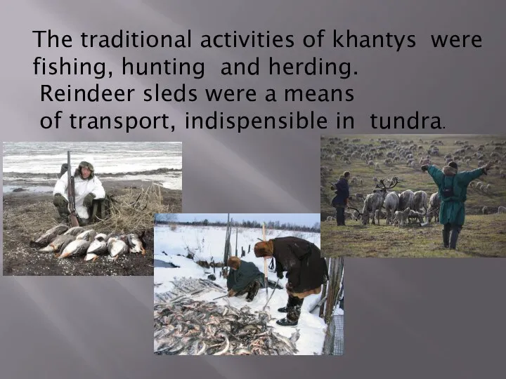 The traditional activities of khantys were fishing, hunting and herding. Reindeer