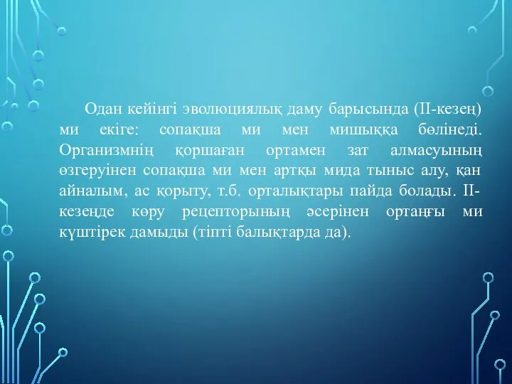 Одан кейінгі эволюциялық даму барысында (ІІ-кезең) ми екіге: сопақша ми мен