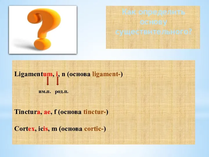 Ligamentum, i, n (основа ligament-) им.п. род.п. Tinctura, ae, f (основа