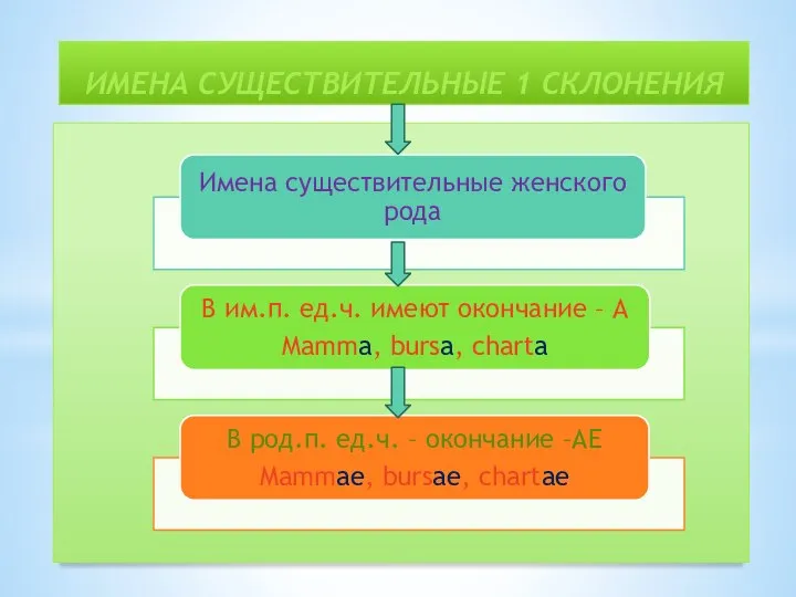 ИМЕНА СУЩЕСТВИТЕЛЬНЫЕ 1 СКЛОНЕНИЯ