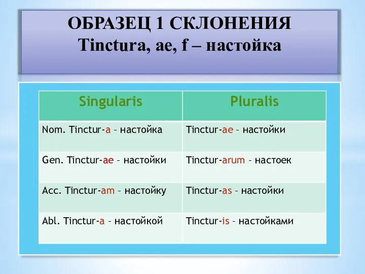 ОБРАЗЕЦ 1 СКЛОНЕНИЯ Tinctura, ae, f – настойка