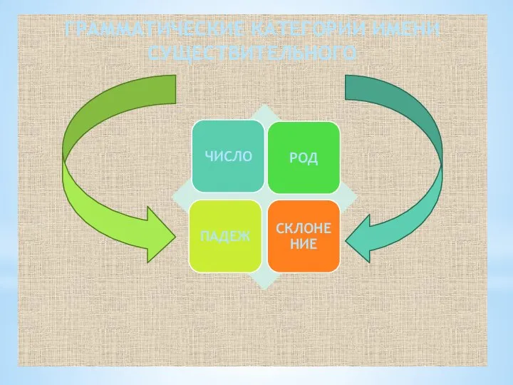 ГРАММАТИЧЕСКИЕ КАТЕГОРИИ ИМЕНИ СУЩЕСТВИТЕЛЬНОГО