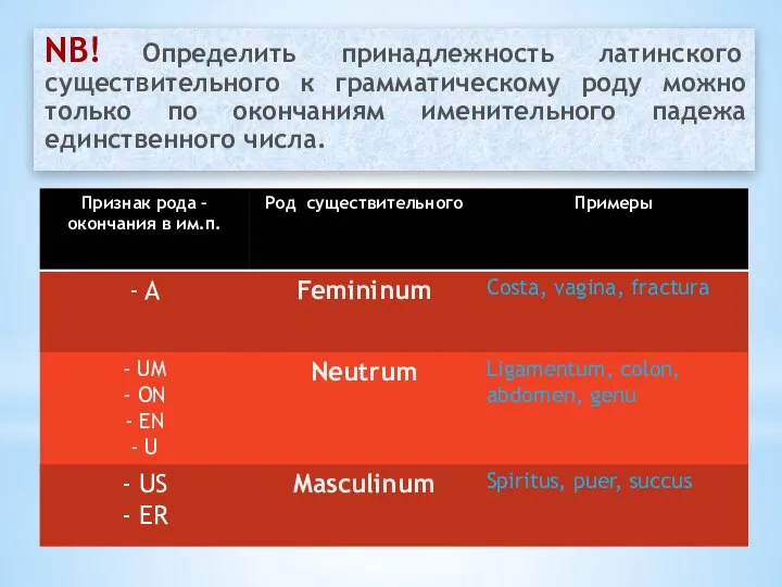 NB! Определить принадлежность латинского существительного к грамматическому роду можно только по окончаниям именительного падежа единственного числа.