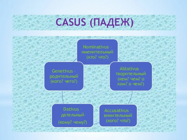 CASUS (ПАДЕЖ)