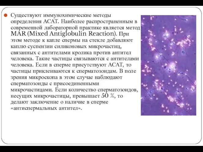 Существуют иммунохимические методы определения АСАТ. Наиболее распространенным в современной лабораторной практике