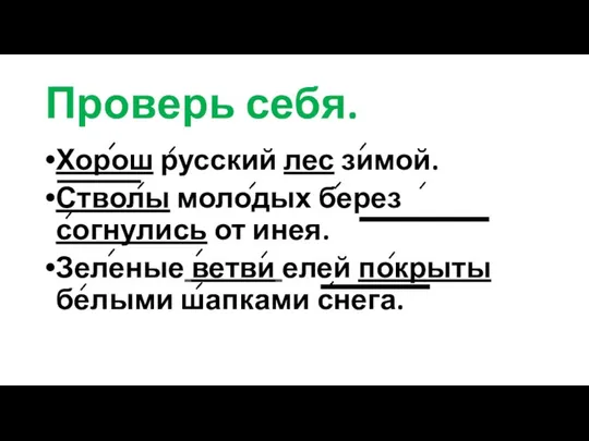 Проверь себя. Хорош русский лес зимой. Стволы молодых берез согнулись от