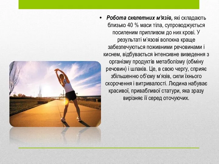 Робота скелетних м’язів, які складають близько 40 % маси тіла, супроводжується