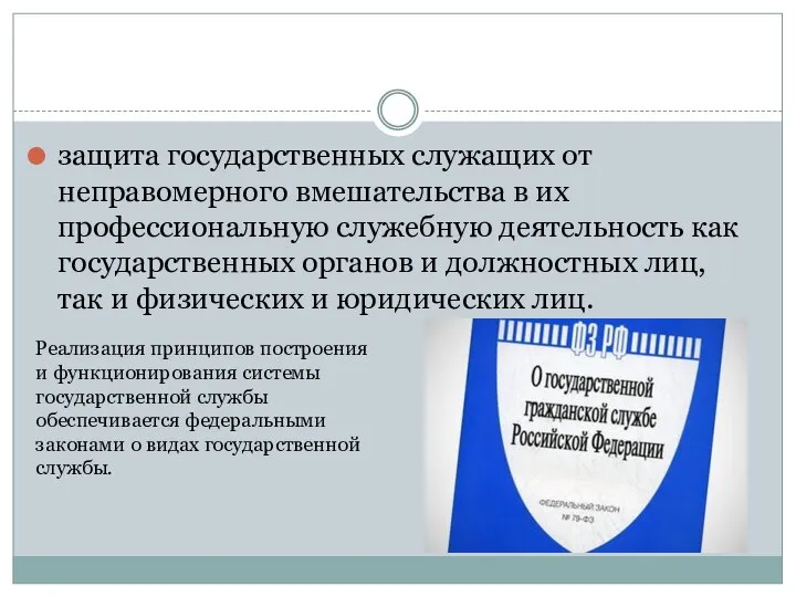 защита государственных служащих от неправомерного вмешательства в их профессиональную служебную деятельность