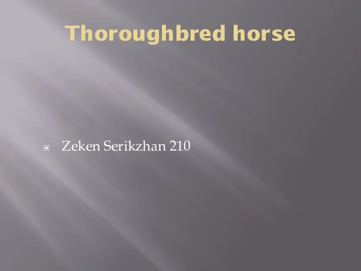 Thoroughbred horse