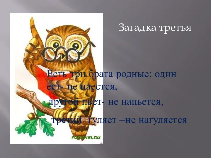 Есть три брата родные: один ест- не наестся, другой пьет- не